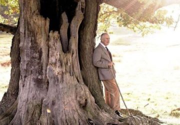 Rei Charles Reino Unido comemoração 74 anos